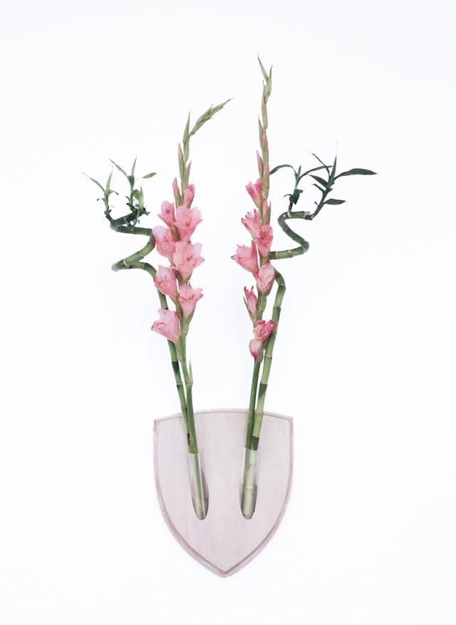 Diervriendelijk gewei met bloemen