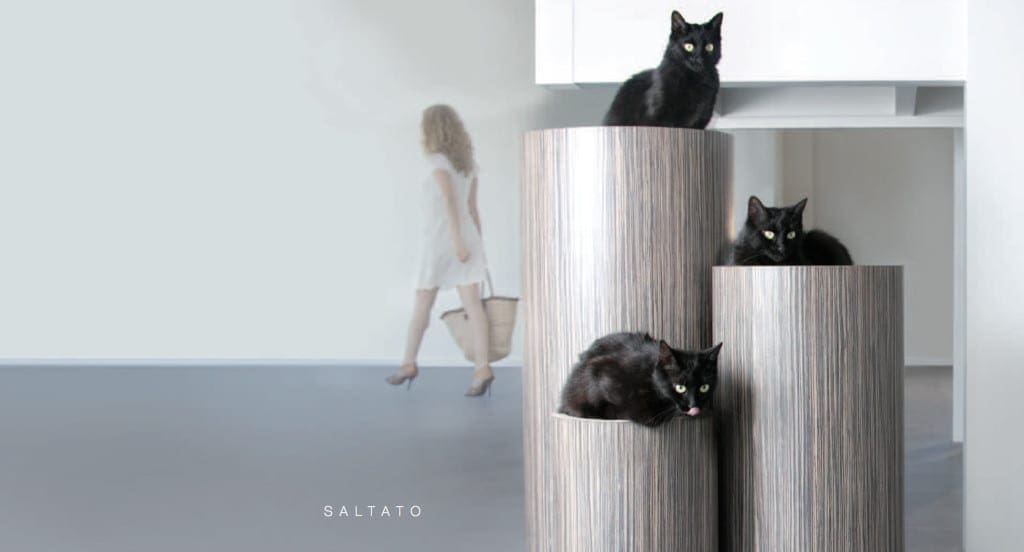 Kattenverblijf design