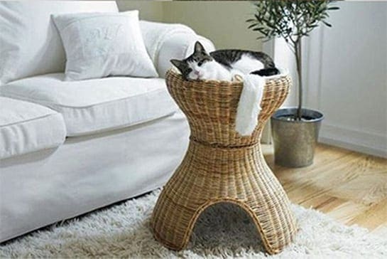 Kattenmand
