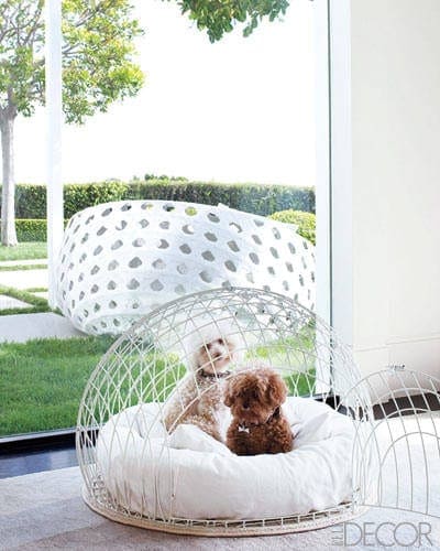 Hondenmand design
