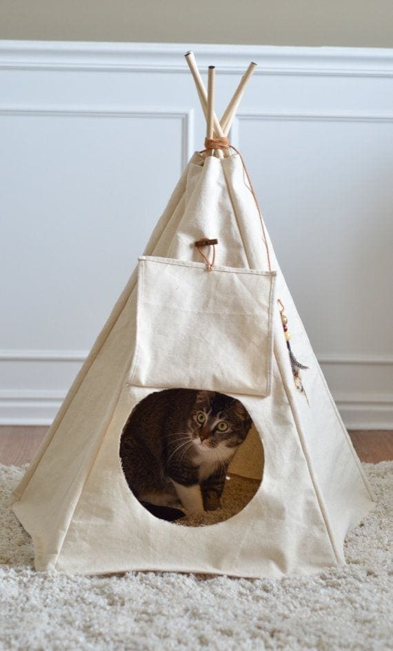 Tipi voor je huisdier