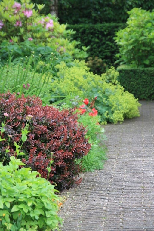Border in romantische tuin