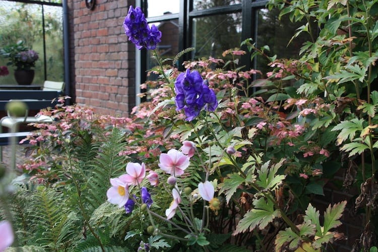Een mooie herfsttuin hoe doe je dat?