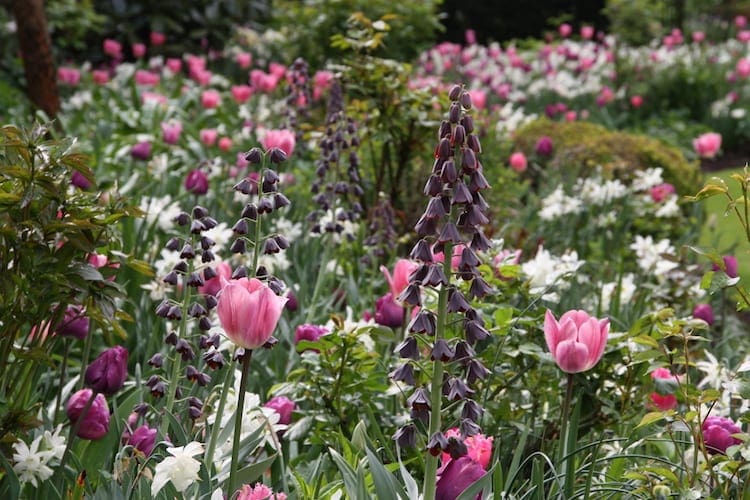 wintertuin7