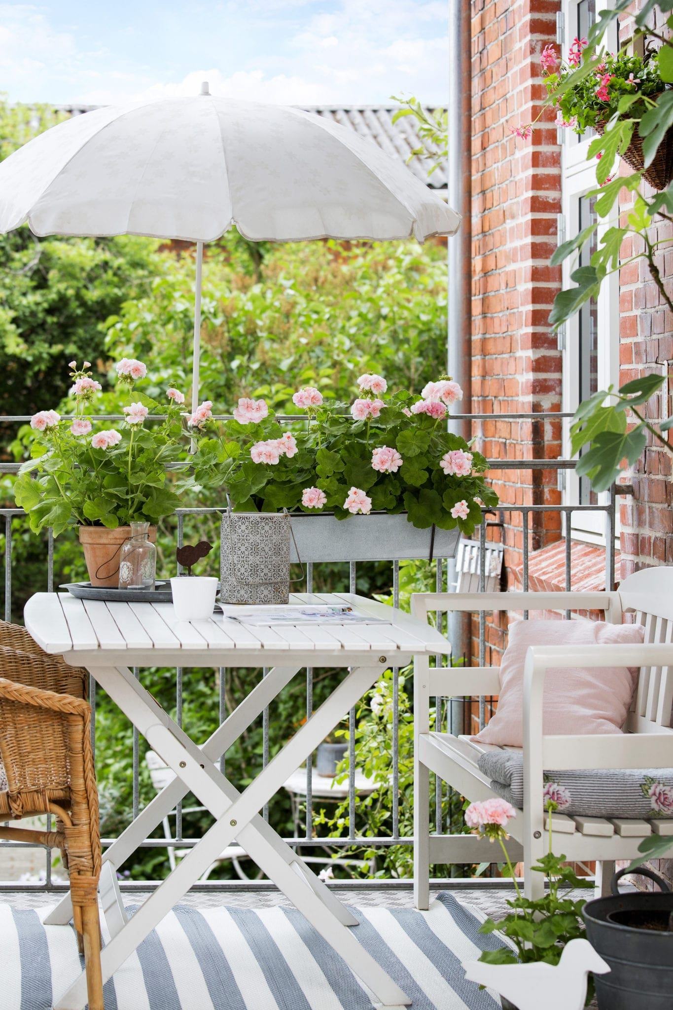 Roze geraniums