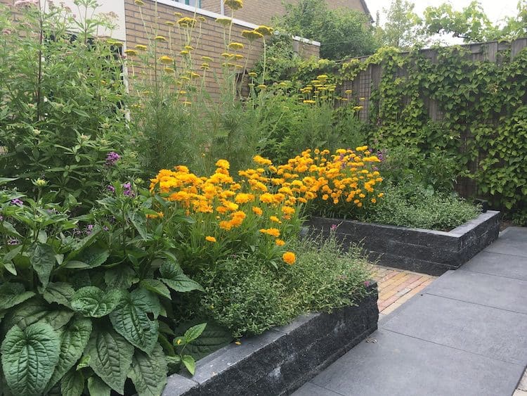 Plantvakken vullen, hoe doe je dat?